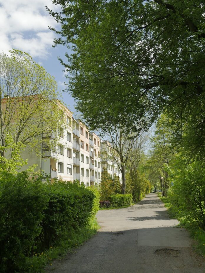 Jakie rzemiosło cieszy się największym zainteresowaniem w Raciborzu?