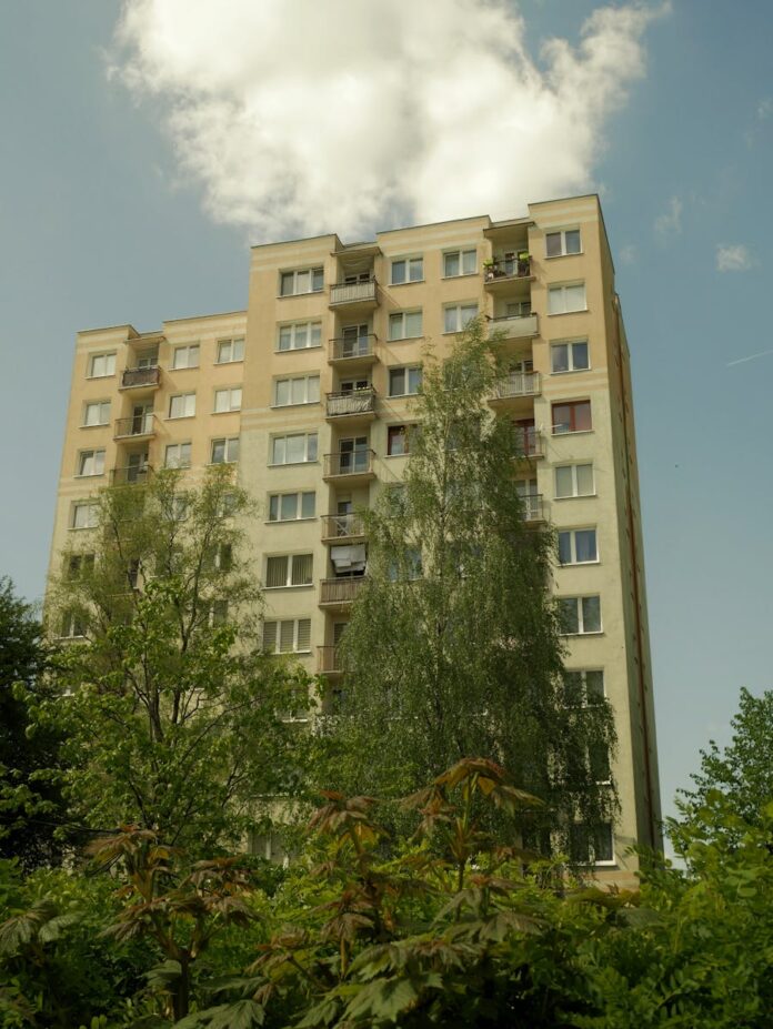 Zalety korzystania z naturalnych nawozów w ogrodnictwie