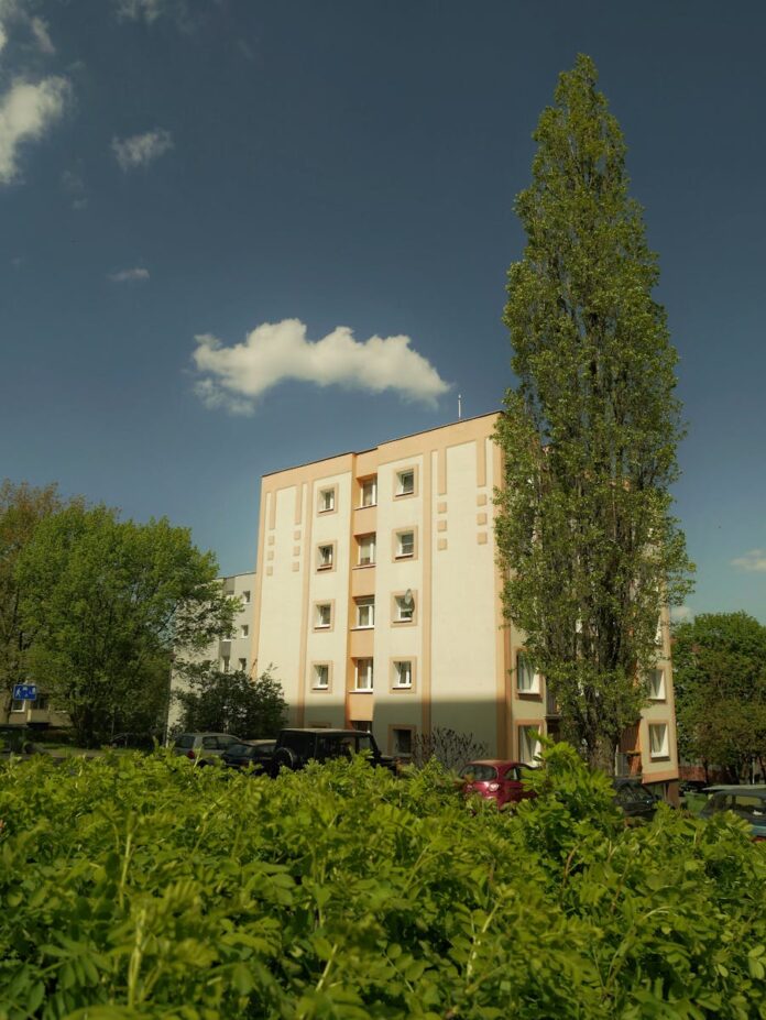 Jakie są korzyści z współpracy lokalnych przedsiębiorstw w Raciborzu?
